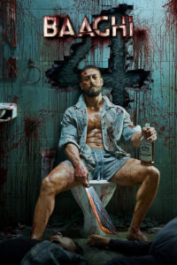 Baaghi 4 (2025) Netnaija 