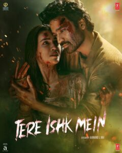 Tere Ishk Mein (2025) netnaija 